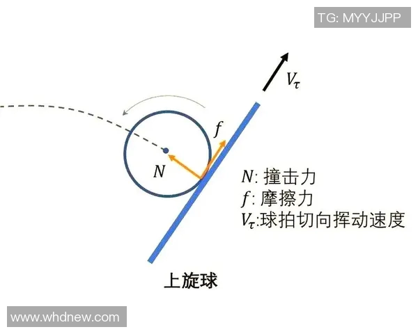 乒乓球新手必看团队协作技巧与实战指南助你快速提升球技