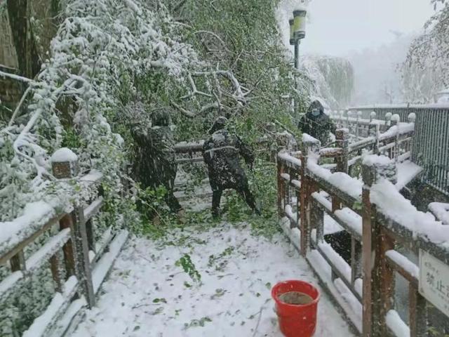 完美体育铺设毛毡、草苫子、防滑垫……天下第一泉风景区多措并举积极应对暴雪(图4)