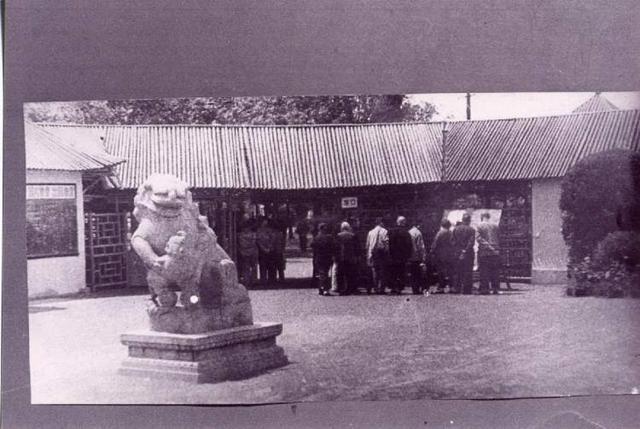 完美体育·(中国)官方网站周到晨报丨“早上海zoo walk”！新闻晨报携手上海(图2)