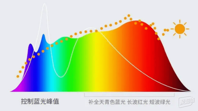 完美体育什么牌子的灯具性价比高？五款高性价比护眼台灯推荐分享(图3)