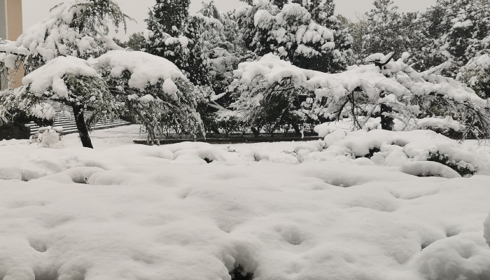 完美体育·(中国)官方网站暴雪天气路面应急措施有哪些 应对暴雪天气准备工作有哪些(图2)