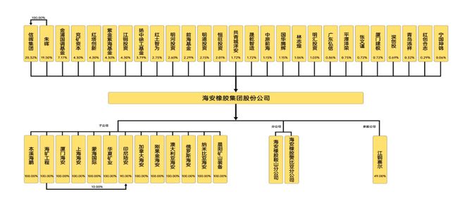 完美体育·(中国)官方网站海安橡胶报告期内股东从1名增至27名 业绩可持续性遭监(图3)